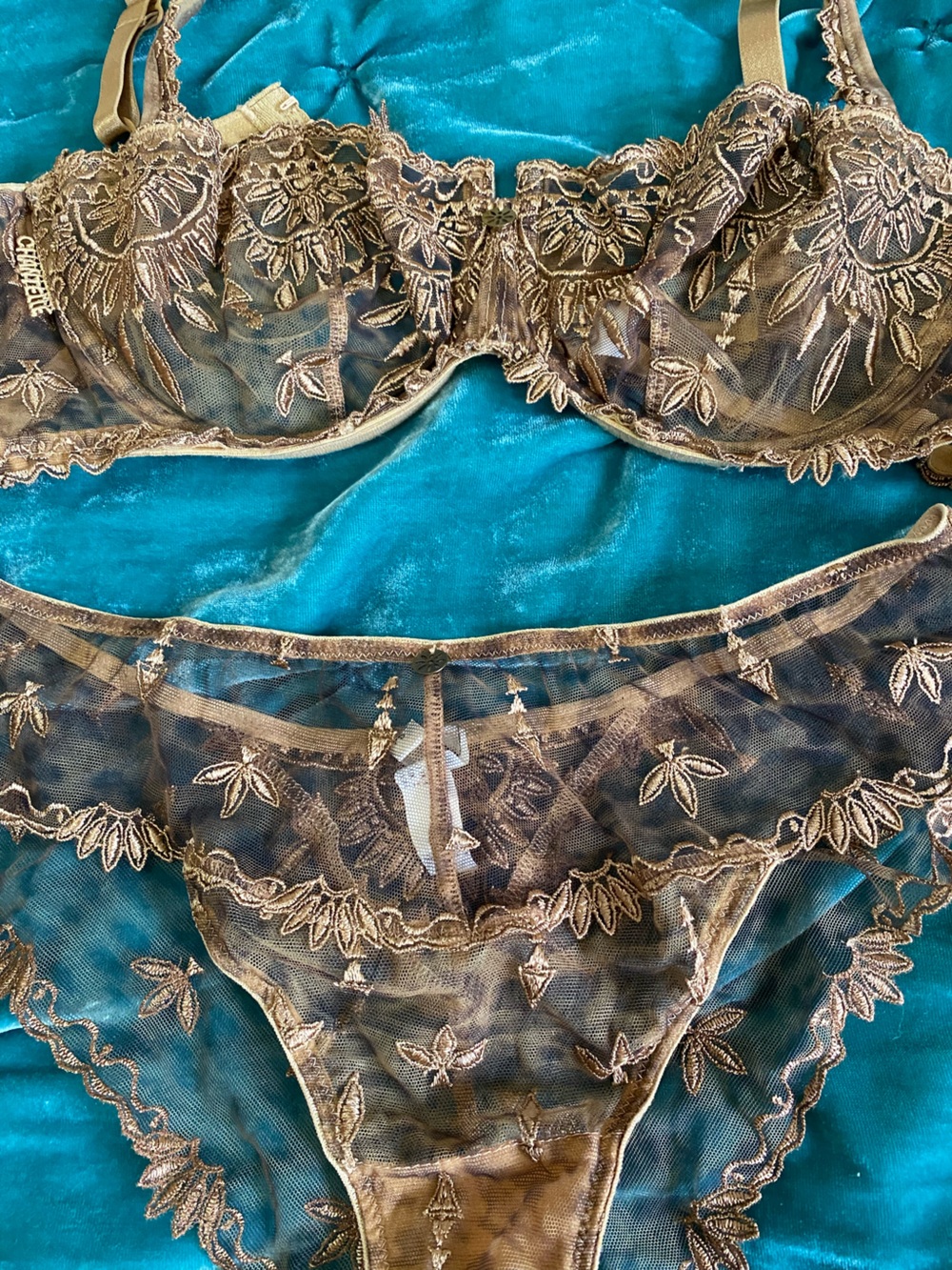 Chantelle Sheer Embroidered Bra & Brief Set in Gold - Picture 7 of 15